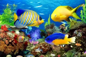 1000 Pieces Jigsaw Puzzle for Adults, Mellow Yellow Fish Wooden Jigsaw Puzzle, Exercise Memory Relieve Stress Game Jigsaw Puzzle Family Activities Decompression Gifts