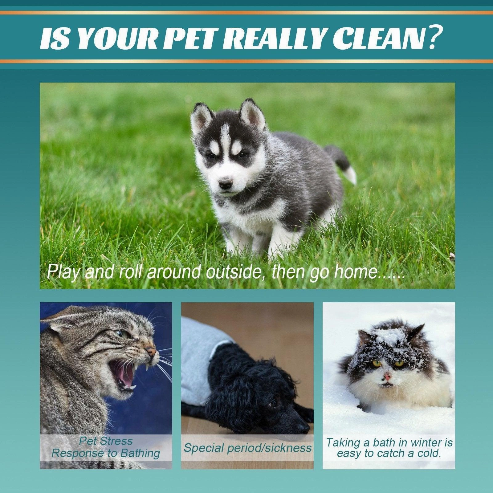 10XPet Cat Dog Dry Washing Gloves Bath Remove Odor Cleaning Decontamination Care