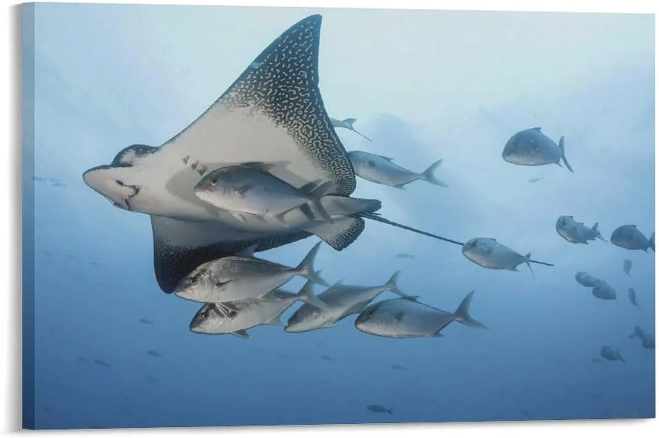 500 Piece Jigsaw Puzzles Fish Diving Manta Rays Wooden Puzzle for Adults and Kids Development Toys Games Gift