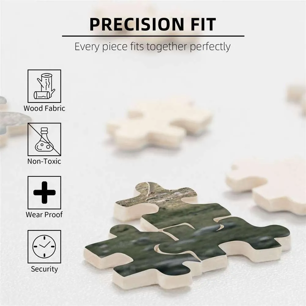 500 Piece Puzzle for AdultMiddle Ages Village, Houses and Cars Wooden Jigsaw Puzzles Challenging Educational Fun Interactive Toys for Family Creative Gift