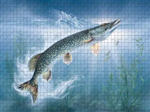 500 Piece Puzzle for Adults Northern Pike Fish A Challenging and Dynamic Jigsaw Game for Fishing Angling Fans Fun Wall Art and Family Night Gift Idea