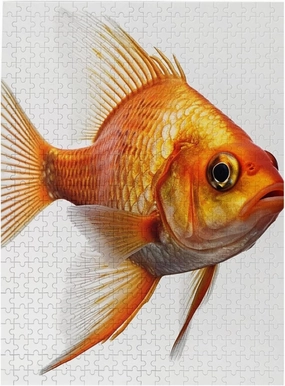 500 Piece Jigsaw Puzzle for Adults Challenging Puzzle for Game Nights Real Fish Wooden Puzzle Finished Size 15"x20.4"
