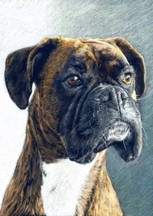 Adults Jigsaw Puzzle 500 Piece Wooden Adults Children Puzzles,Brown Boxer Dog Portrait Animal Puzzles,Leisure Game Preschool Toy Best Gifts Suitable Family Friends