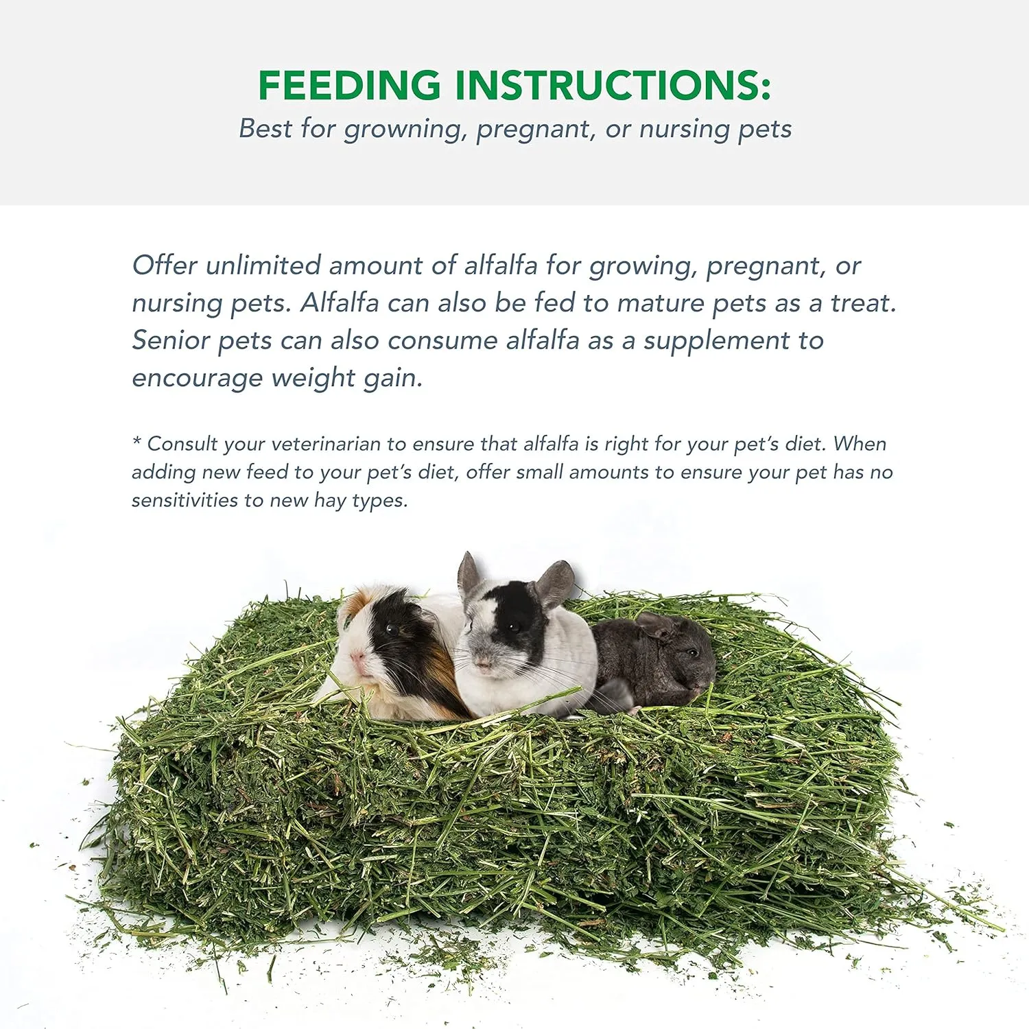 Alfalfa Hay for Rabbits & Small Pets, 5 lbs
