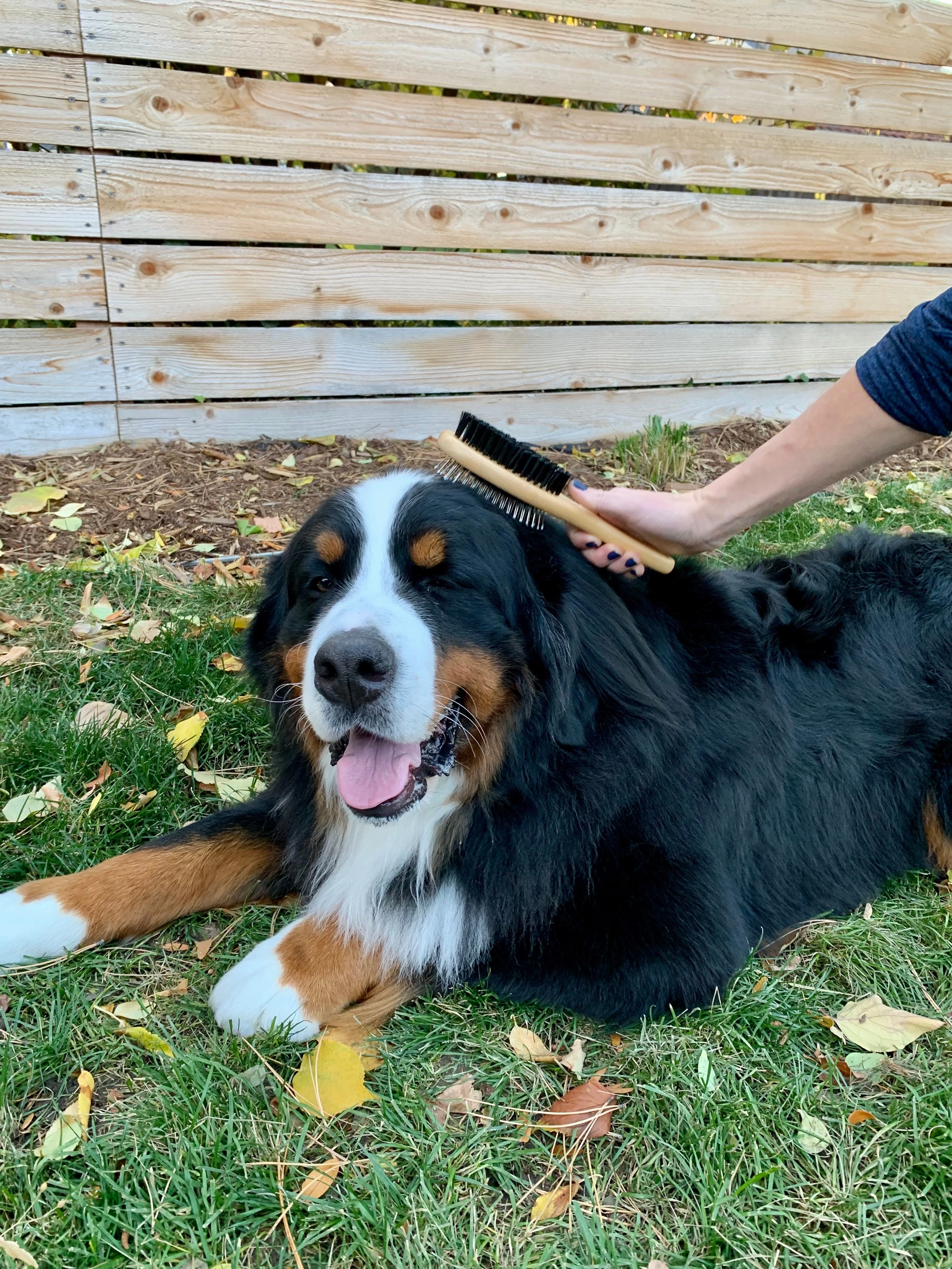 Bamboo Grooming Brush for Pets - Double Sided Combo Brush
