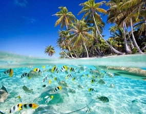 Beach Tropical Fish Jigsaw Puzzles 500 Pieces DIY Artwork,Wooden Puzzle Prop Summer Seaside Intellectual Decompressing Toys Fun Game Gifts for Family Adults Teens Friends