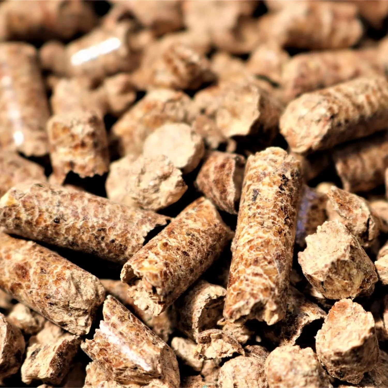 Bear Mountain FB99 All Natural Low Moisture Hardwood Smoky Gourmet Blend BBQ Smoker Pellets for Outdoor Grilling, 40 Pound Bag (4 Pack)