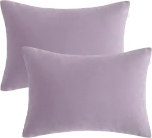 bedsum 2 Pack Toddler Pillows, 13''x18'' Microfiber Baby Pillows for Toddler, Travel, Pets, Soft and Machine Washable Small Pillows w/ Excellent Resilience for Neck, Wrist, and Knee Support, Lavender