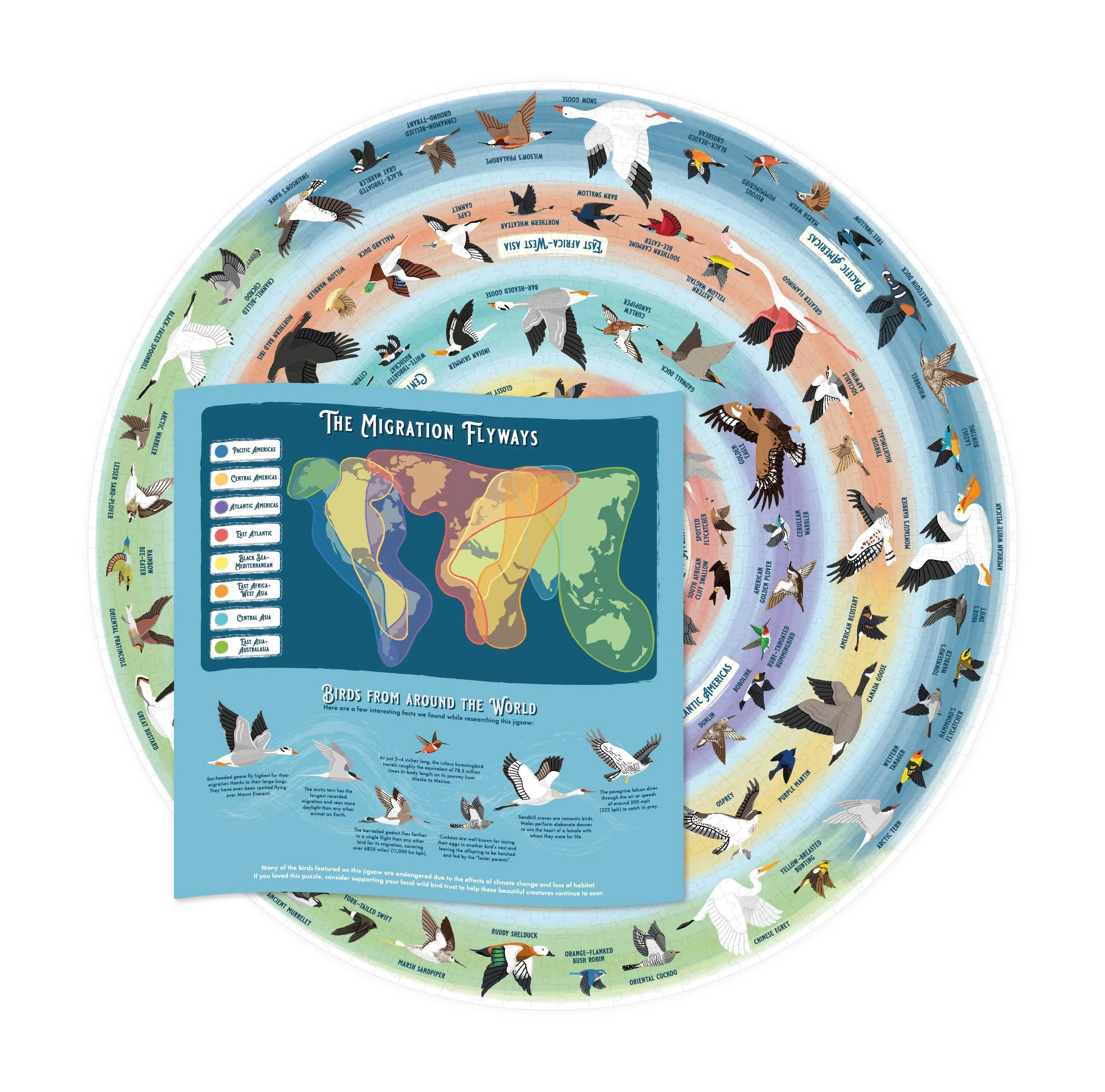 Bird Lover’s 1000-Piece Jigsaw Puzzle