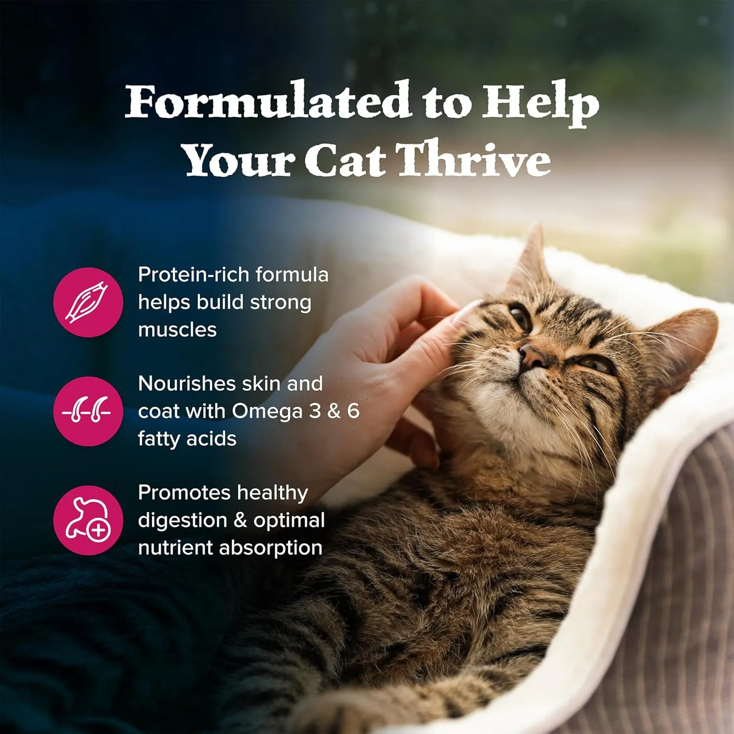 Blue Buffalo Wilderness Natural Adult Dry Cat Food, High-Protein and Grain-Free Diet, Supports Healthy Muscle Development and a Healthy Immune System, Salmon, 5-lb Bag