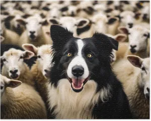 Border Collie Puppy 500 Piece Jigsaw Puzzle for Adults- Sheep Life - Border Collie Surrounded by Herding Sheep - Wooden Puzzles Developing Intelligence Games Preschool Toys Kids Gifts