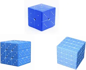 Braille Magic Cube Puzzle Toy Set 2X2 3X3 4X4 for The Blinds Person or Partially Sighted Color Weakness Speed Cube,Easy Turning and Smooth Play Toys for Kids Adults 3PACK