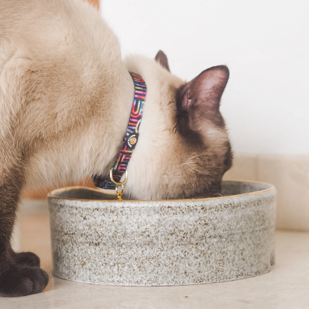 Cat Collar in Rainbow Maze