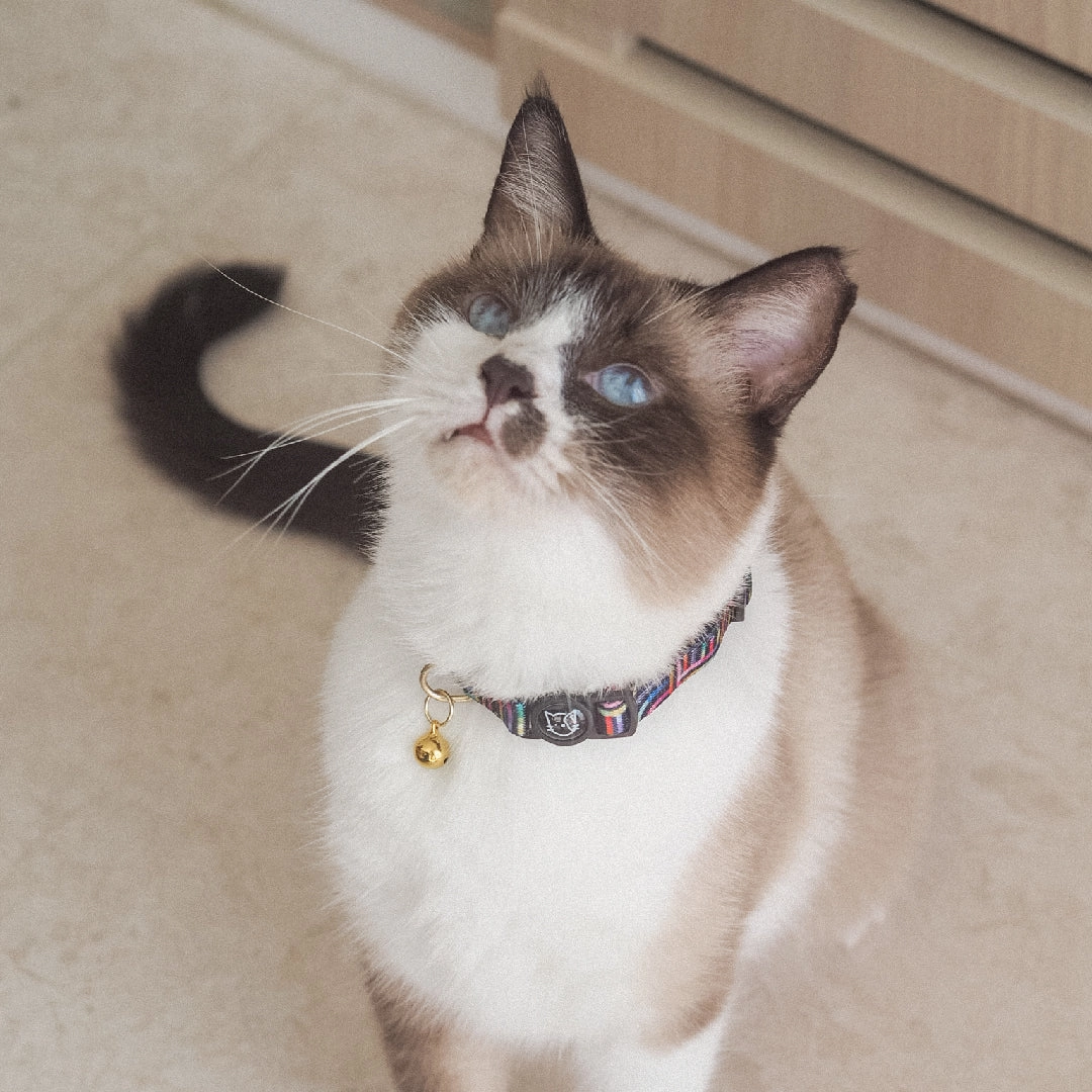 Cat Collar in Rainbow Maze