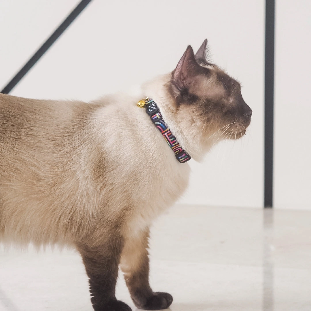 Cat Collar in Rainbow Maze