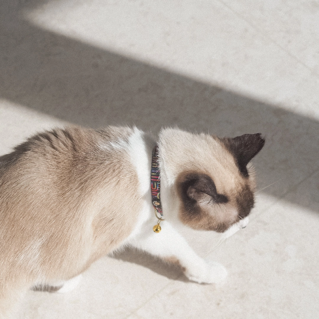 Cat Collar in Rainbow Maze