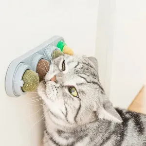 Catnip Wall Ball Toy - Teeth Cleaning & Interactive Cat Toy