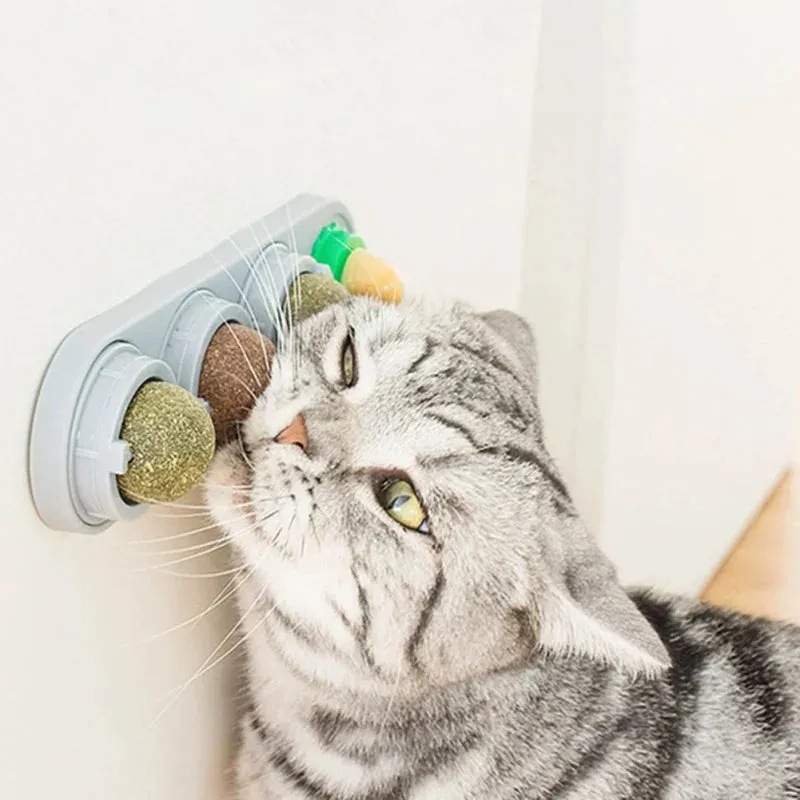 Catnip Wall Ball Toy - Teeth Cleaning & Interactive Cat Toy