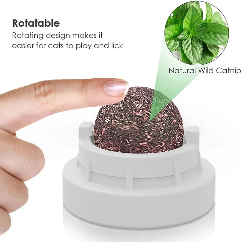 Catnip Wall Ball Toy - Teeth Cleaning & Interactive Cat Toy