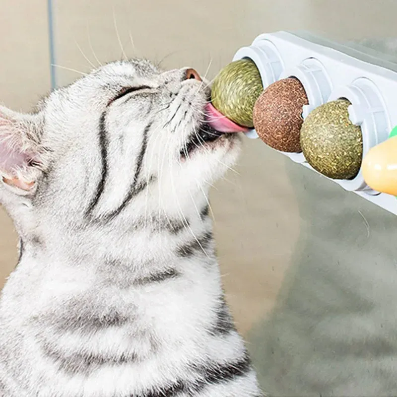 Catnip Wall Ball Toy - Teeth Cleaning & Interactive Cat Toy