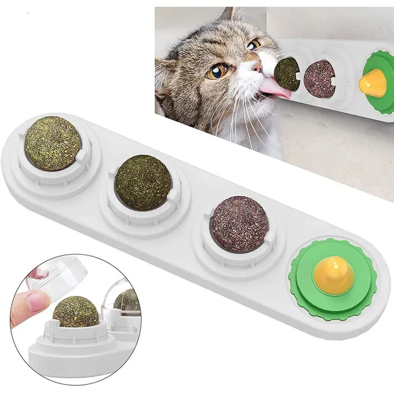Catnip Wall Ball Toy - Teeth Cleaning & Interactive Cat Toy