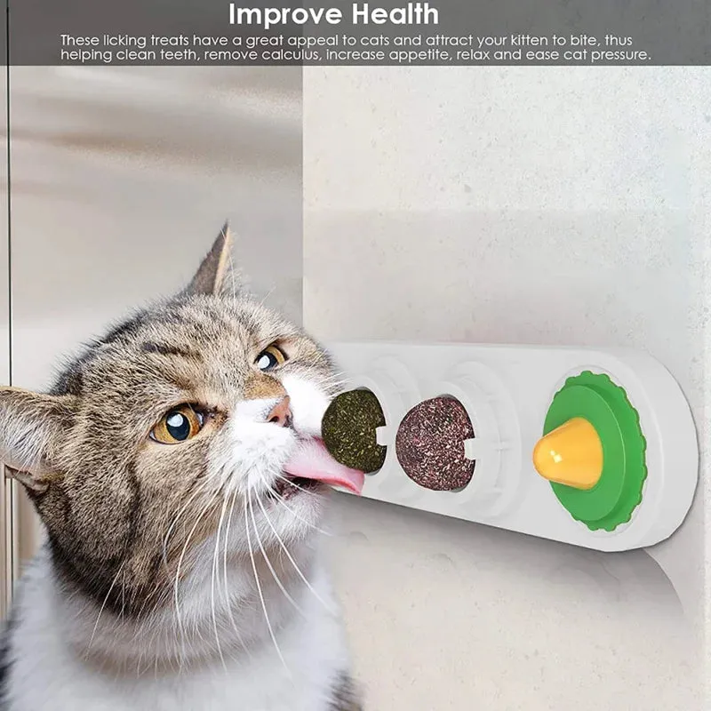 Catnip Wall Ball Toy - Teeth Cleaning & Interactive Cat Toy
