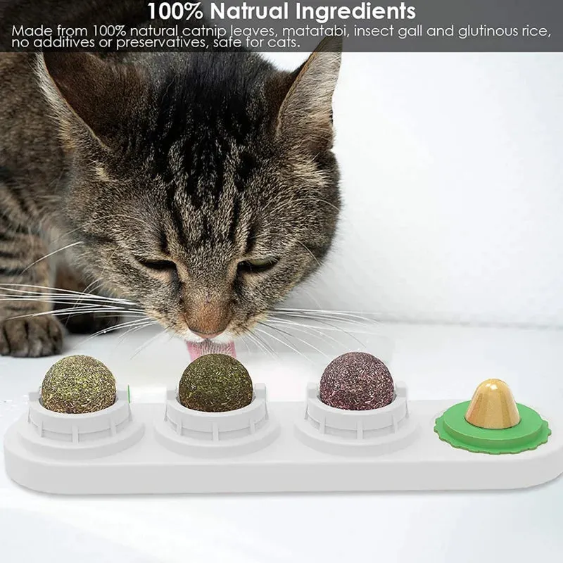 Catnip Wall Ball Toy - Teeth Cleaning & Interactive Cat Toy