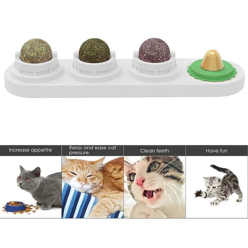 Catnip Wall Ball Toy - Teeth Cleaning & Interactive Cat Toy