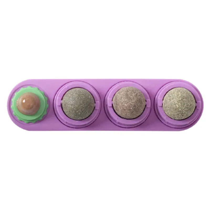 Catnip Wall Ball Toy - Teeth Cleaning & Interactive Cat Toy