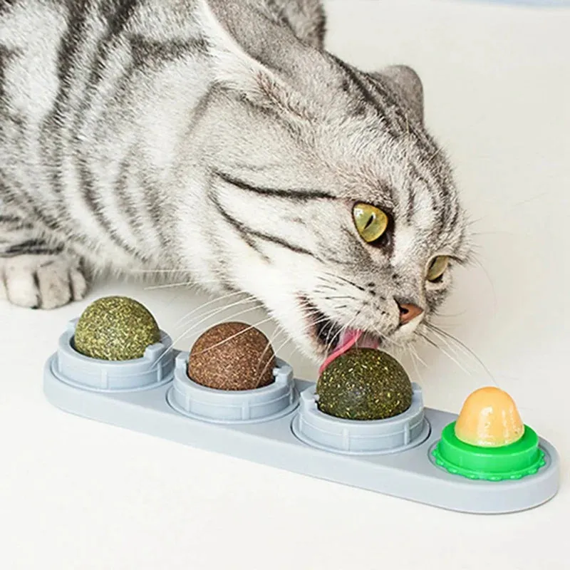Catnip Wall Ball Toy - Teeth Cleaning & Interactive Cat Toy