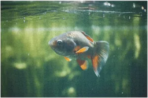 Cute Fish Underwater Jigsaw Puzzles with Poster Puzzles for Adults and Kids 500 Pieces Puzzles Educational Games Gift for Elders Family Friend Gift for Women Men 20.5x15 Inch