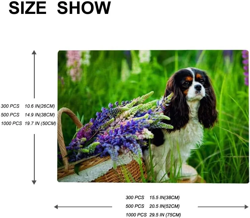 Dog in The Park Jigsaw Puzzles 1000 Pieces Puzzles for Adults - Cavalier King Charles Spaniel Dog Puzzle -Animal Puzzles, Unique Difficult and Challenge Large Puzzle Game Toys Gift for Teens Kids