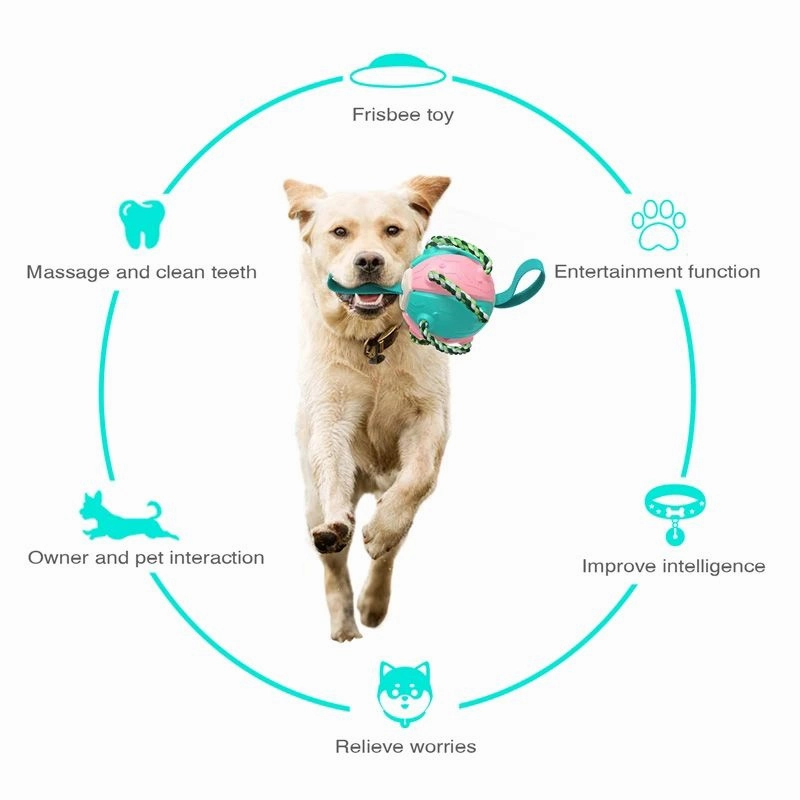 Dog Soccer Ball Interactive Pet Toys Foldable Ball Molar Toy Outdoor Training Ball for Puppy Dog Chew Dog Accessories