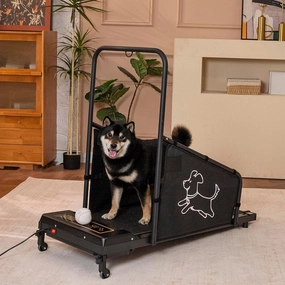 Dog Treadmill at Home for Small/Medium Dogs, Pets Pacer Training Slatmill with Remote Control, Dogs Cats Exercise Machine Pacer Treadmills with LCD Display Screen and 2 Wheels, Black