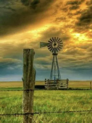 Farm Windmill Puzzles Jigsaw Puzzle 500 Pieces for Adults or Kids Scenic Country Landscape Windmill Puzzle Educational Fun Game Challenging Wooden Toys Gifts for Elders Children Family and Friends