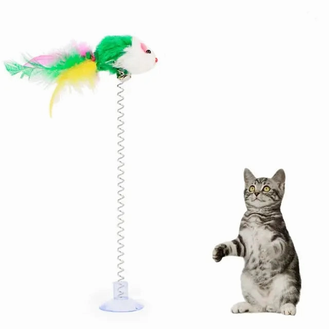 Feather Toy