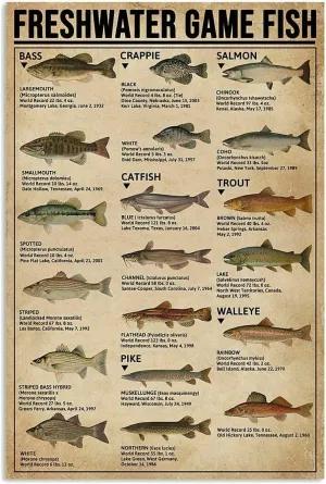 Freshwater Game Fish Some of The Popular Fish Great Jigsaw Puzzles for Adults 1314pcs Puzzles for Adults Toys Gift Family Decoration Puzzles Gift for Women Men 29.5x19.7 Inch