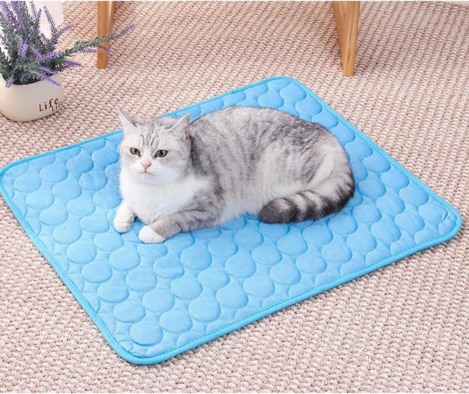 Furry Basics Dog Cooling Mat, Furry Basics Cooling mat, Cool Dog Bed for Summer, Washable & Portable Pet Soft Pad, Non-Slip Summer Mat (Blue,59 * 39.3inch)