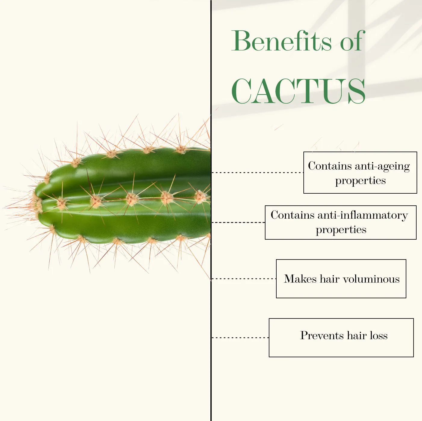 Good Vibes Cactus And Rosehip Cold Pressed Oil For Hair & Skin (100ml)