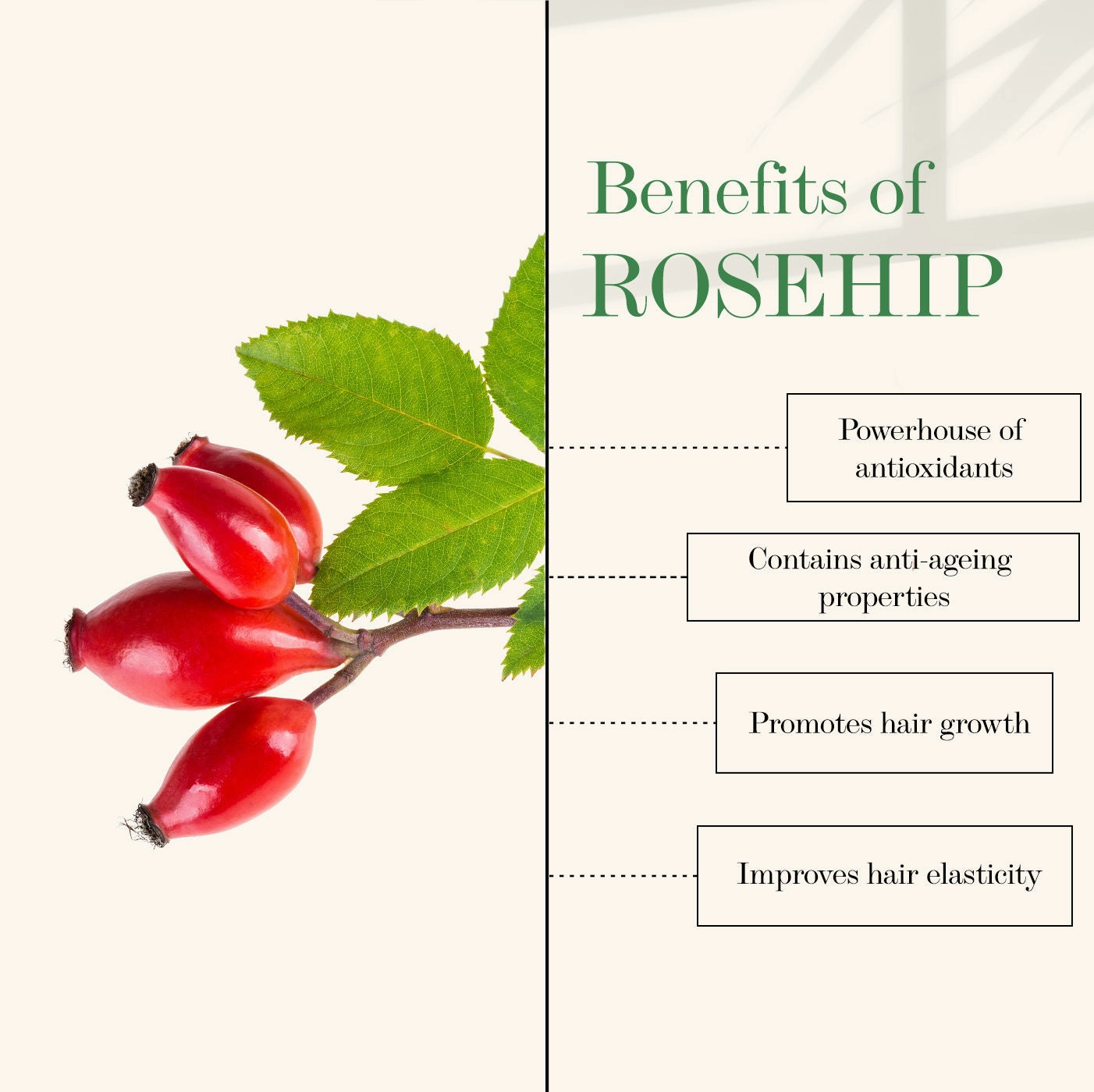 Good Vibes Cactus And Rosehip Cold Pressed Oil For Hair & Skin (100ml)