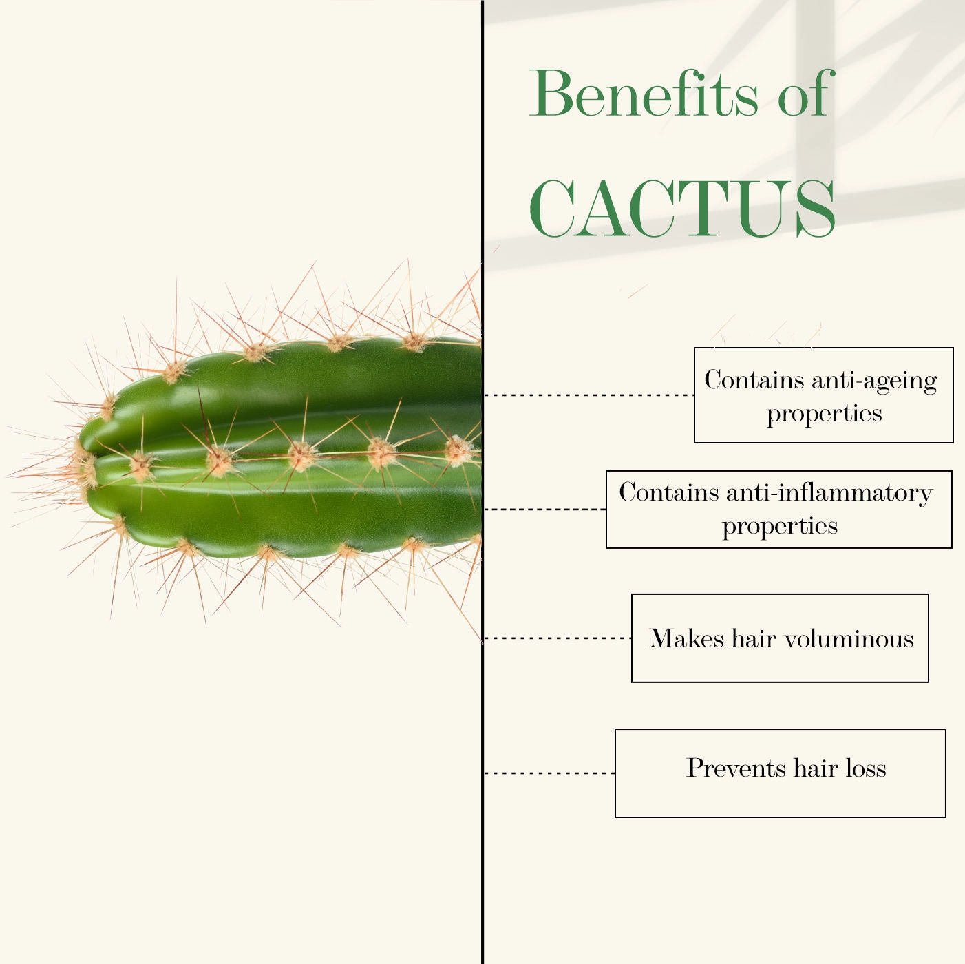 Good Vibes Cactus And Rosehip Cold Pressed Oil For Hair & Skin (100ml)
