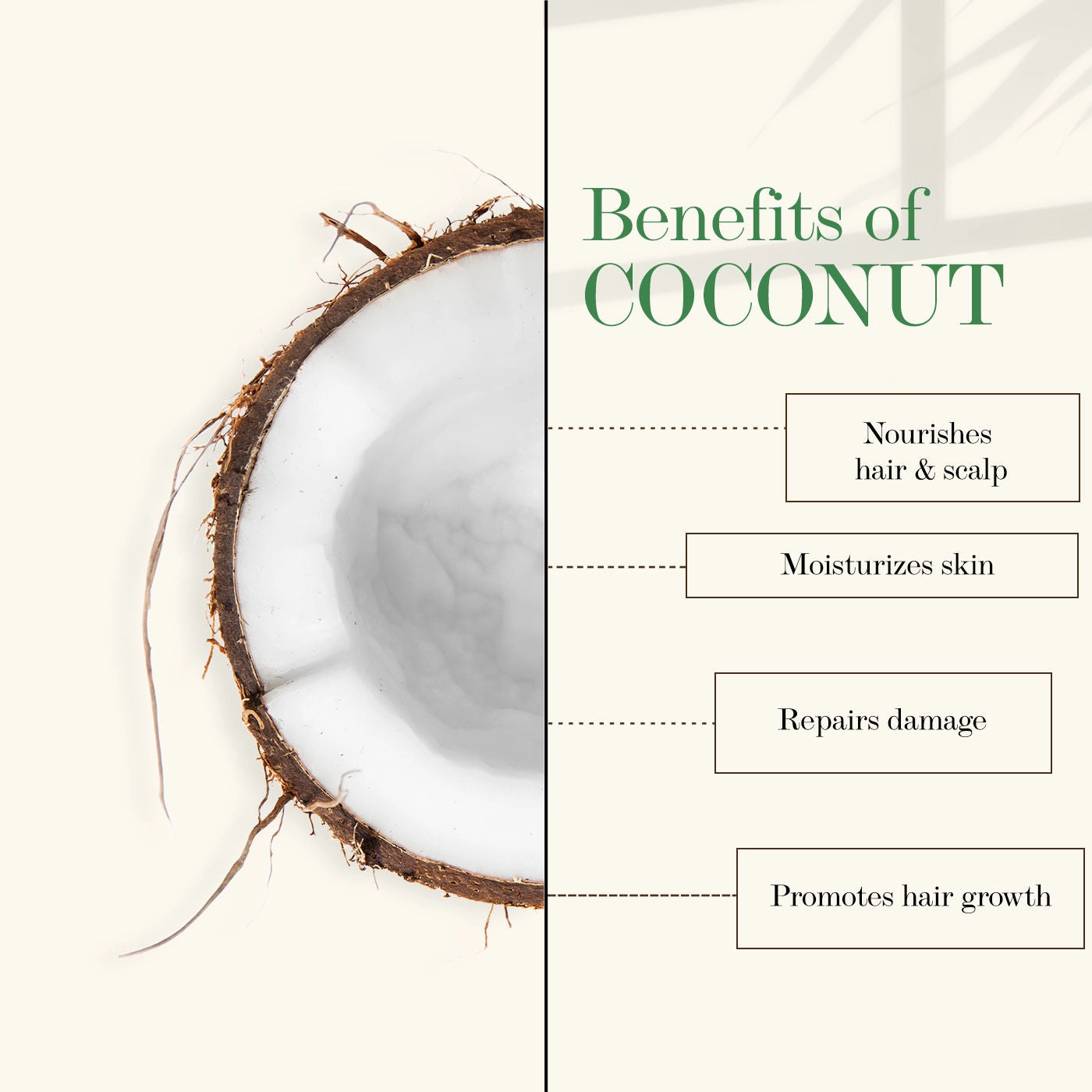 Good Vibes Coconut 100% Pure Coldpressed Carrier Oil | Hair Growth, Anti-Ageing, Hydrating | No Parabens, No Sulphates, No Mineral Oil (200 ml)