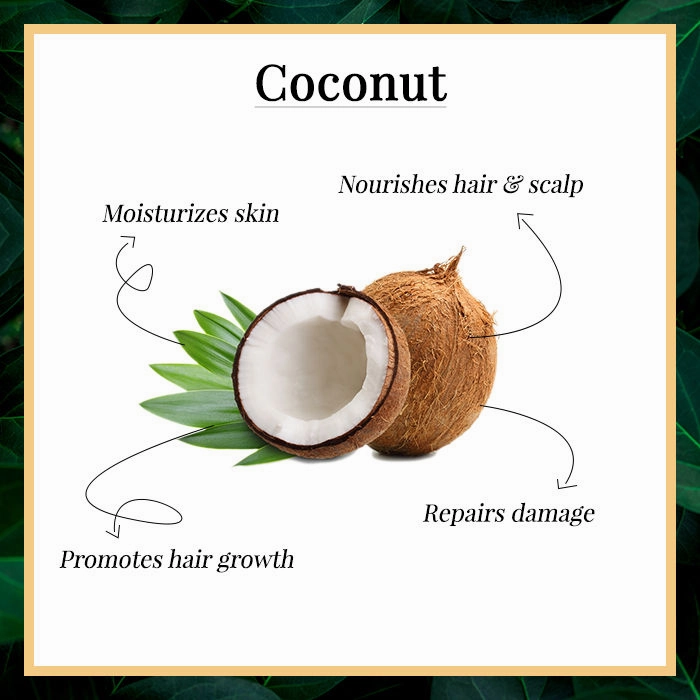 Good Vibes Coconut 100% Pure Coldpressed Carrier Oil | Hair Growth, Anti-Ageing, Hydrating | No Parabens, No Sulphates, No Mineral Oil (200 ml)