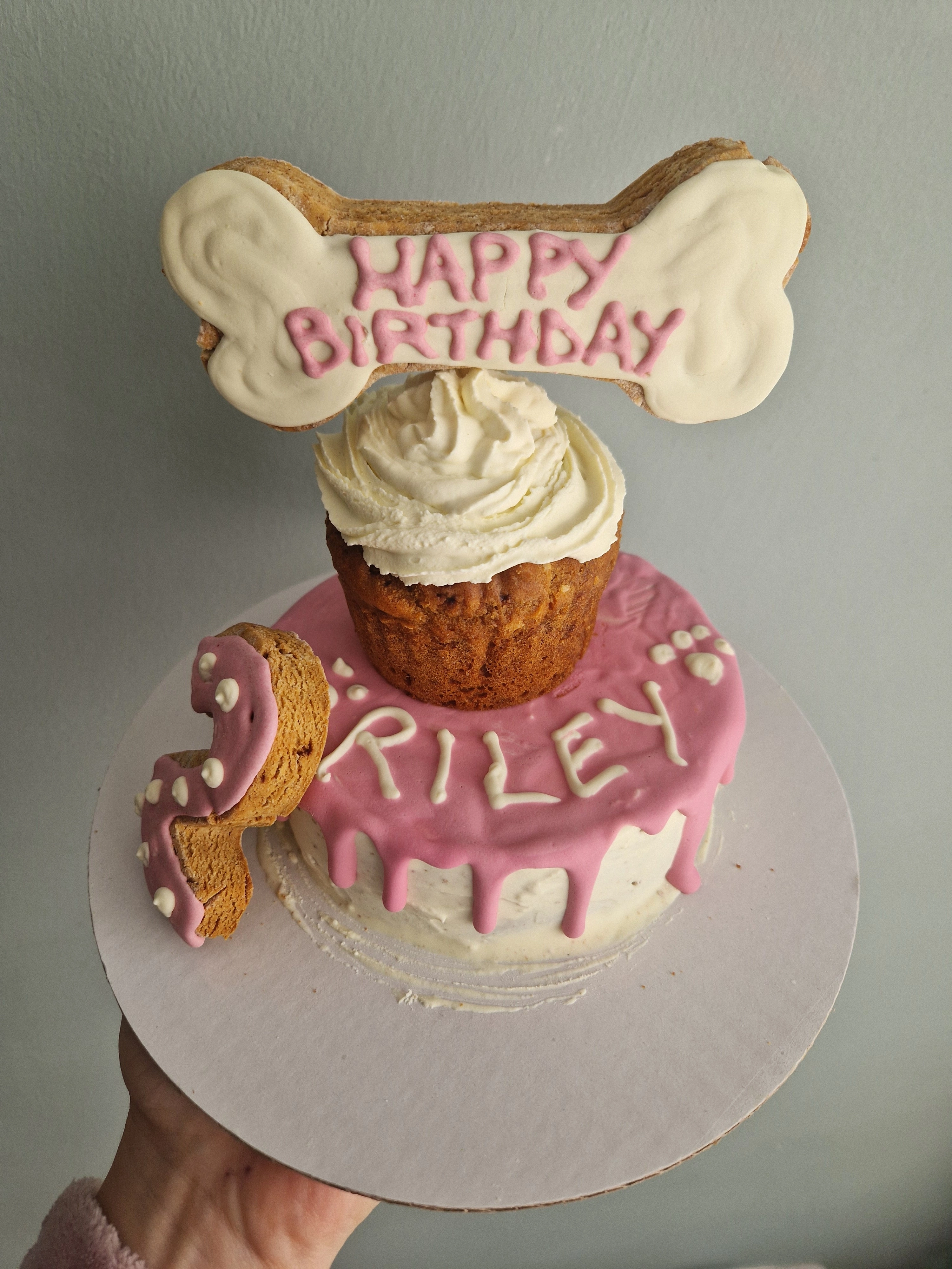 Happy Tails Barkery Custom Design Doggie Birthday Cakes