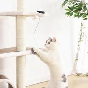 Interactive Electronic Motion Cat Toy | Fun Pet Playtime |Aliyya Store