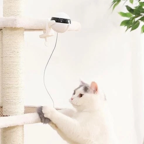 Interactive Electronic Motion Cat Toy | Fun Pet Playtime |Aliyya Store