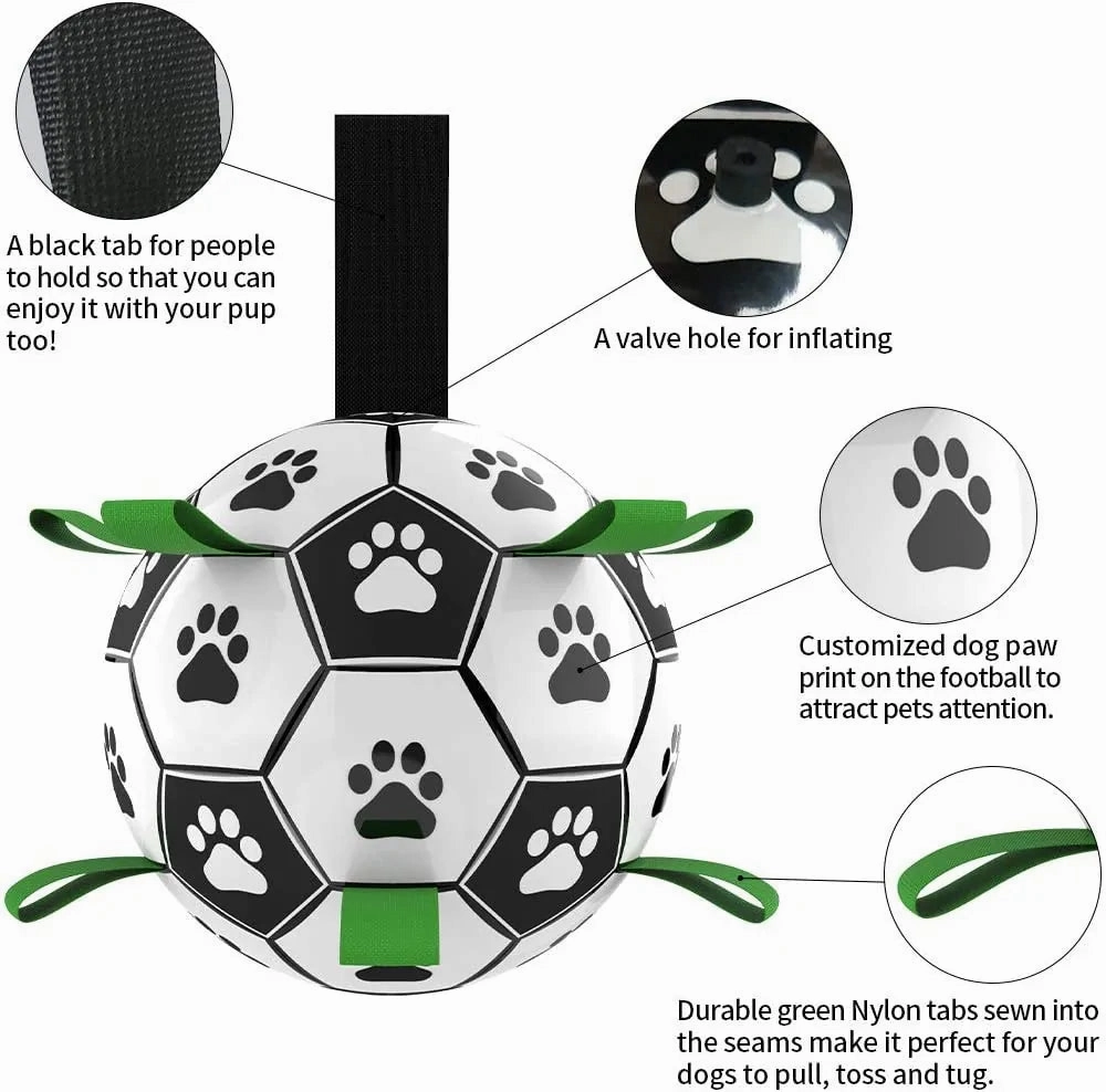 Interactive Pet Toy