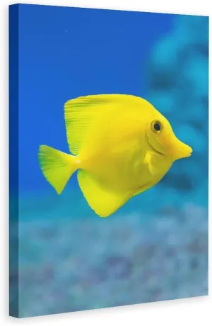 Jigsaw Puzzle 500 Piece Adult Puzzle - Baby Yellow Tang Tropical Fish Puzzle - Christmas Kids Intelligence Game Toy Family Friend Gift