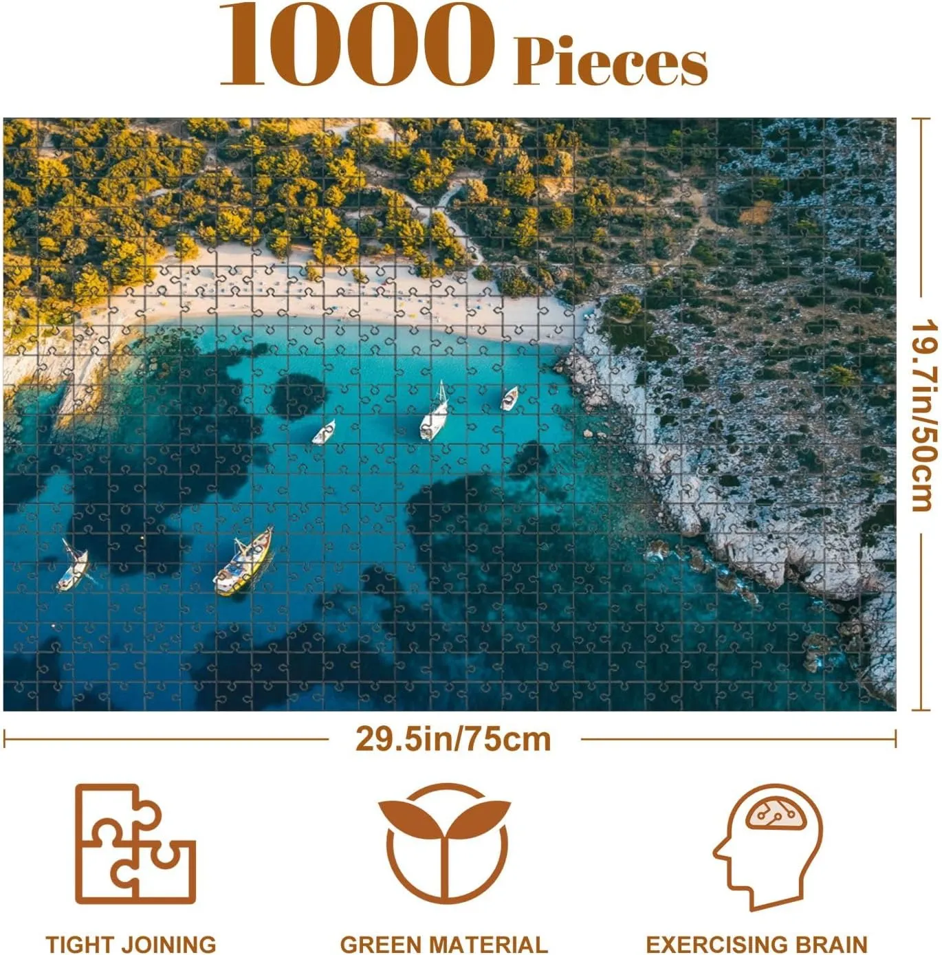 Jigsaw Puzzles 1000 Pieces for Adult Aerial View Aquarium Bay Puzzle Game for Family Wooden Puzzle Toy Educational Games Puzzles for Home Decor