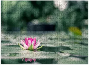 Jigsaw Puzzles 500 Pieces for Adult Beautiful Lotus Flower Water After rain Garden Puzzle Game for Family Wooden Puzzle Toy Educational Games Puzzles for Home Decor